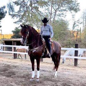 Meet your Posher, Juan pablo